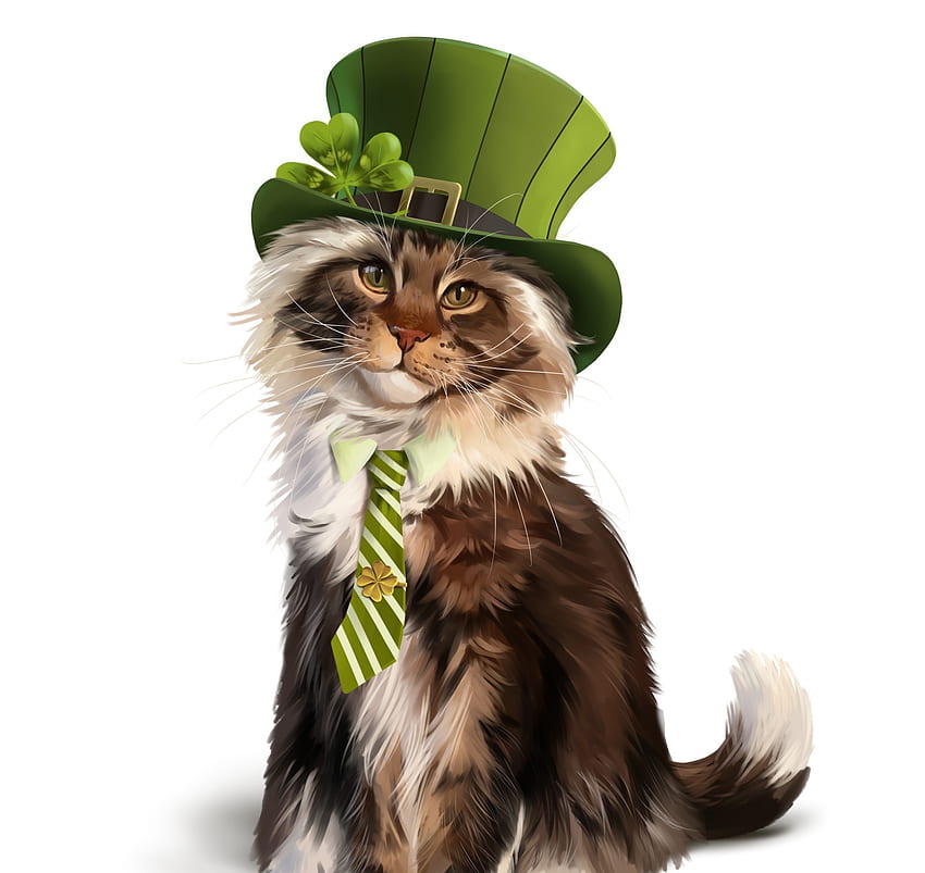 Maine Coon cat for St. Patrick's Day, green, clover, card, st patrick, tie, hat, cat, maine coon, day, fantasy, pisici HD wallpaper