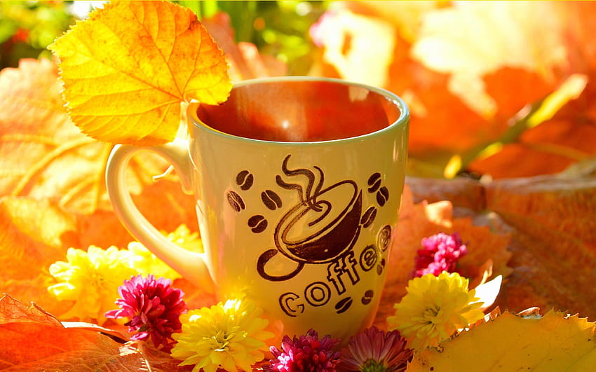 Coffee cup, yellow leaves, flowers, autumn HD wallpaper
