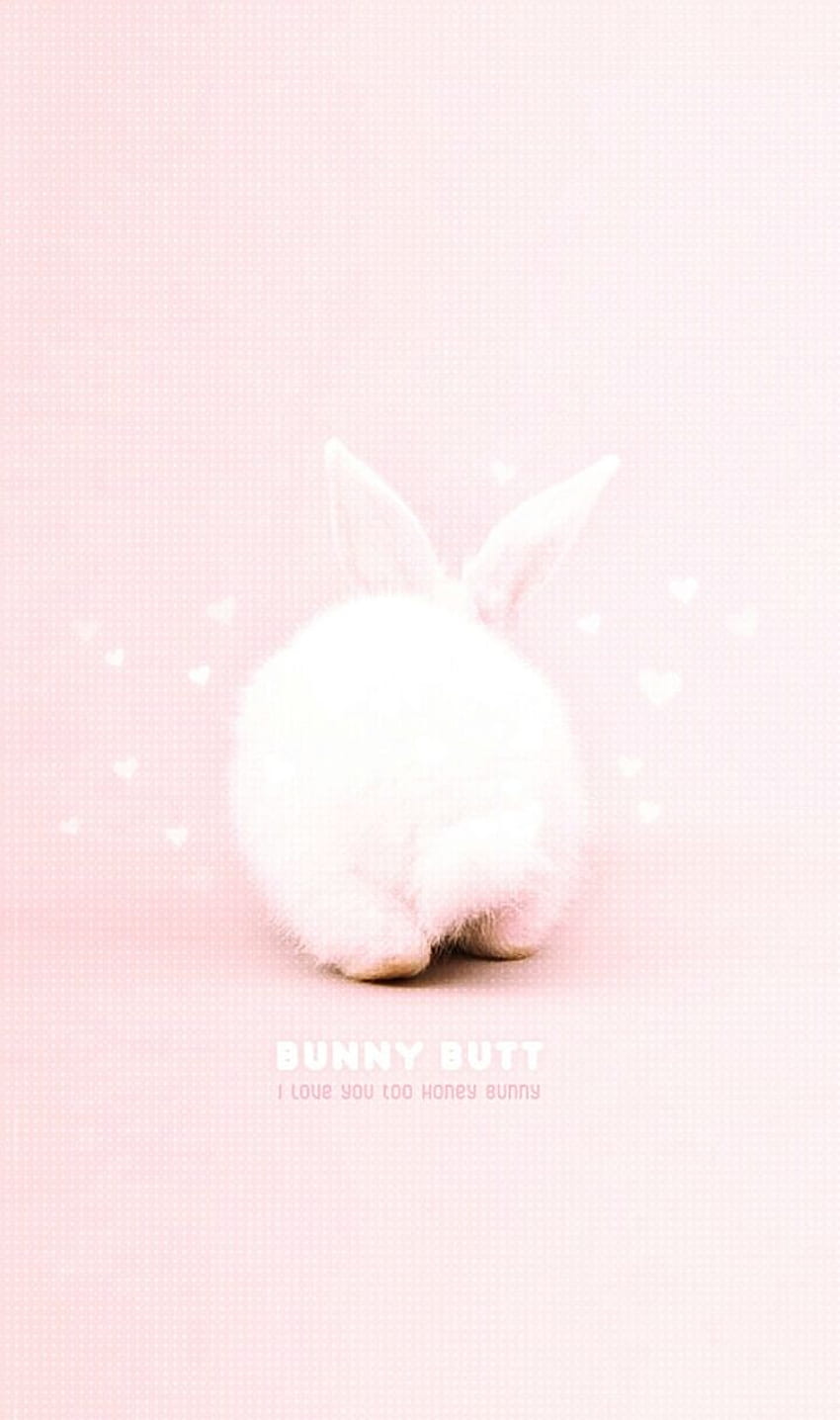 Animals, baby, background, bunny, cute animals, cute baby, cutie, Pink  Bunny HD phone wallpaper | Pxfuel