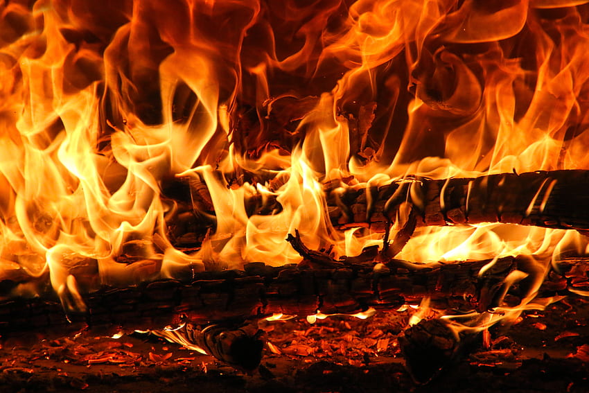 Fire, Bonfire, Coals, Dark, Flame, , , Ash HD wallpaper