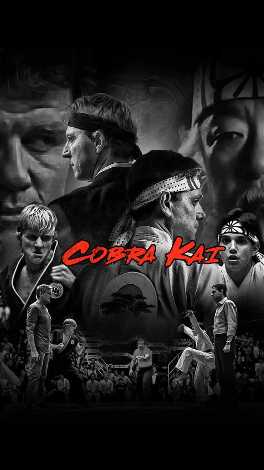 Cobra Kai, Falco Cobra Kai Sfondo del telefono HD