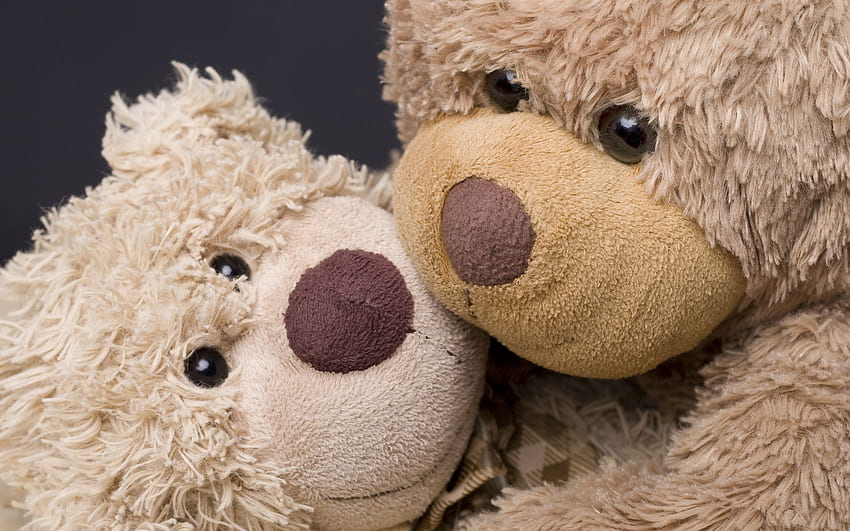 Holidats bears animals cute love romance embrace . . 24147, Stuffed Animals HD wallpaper