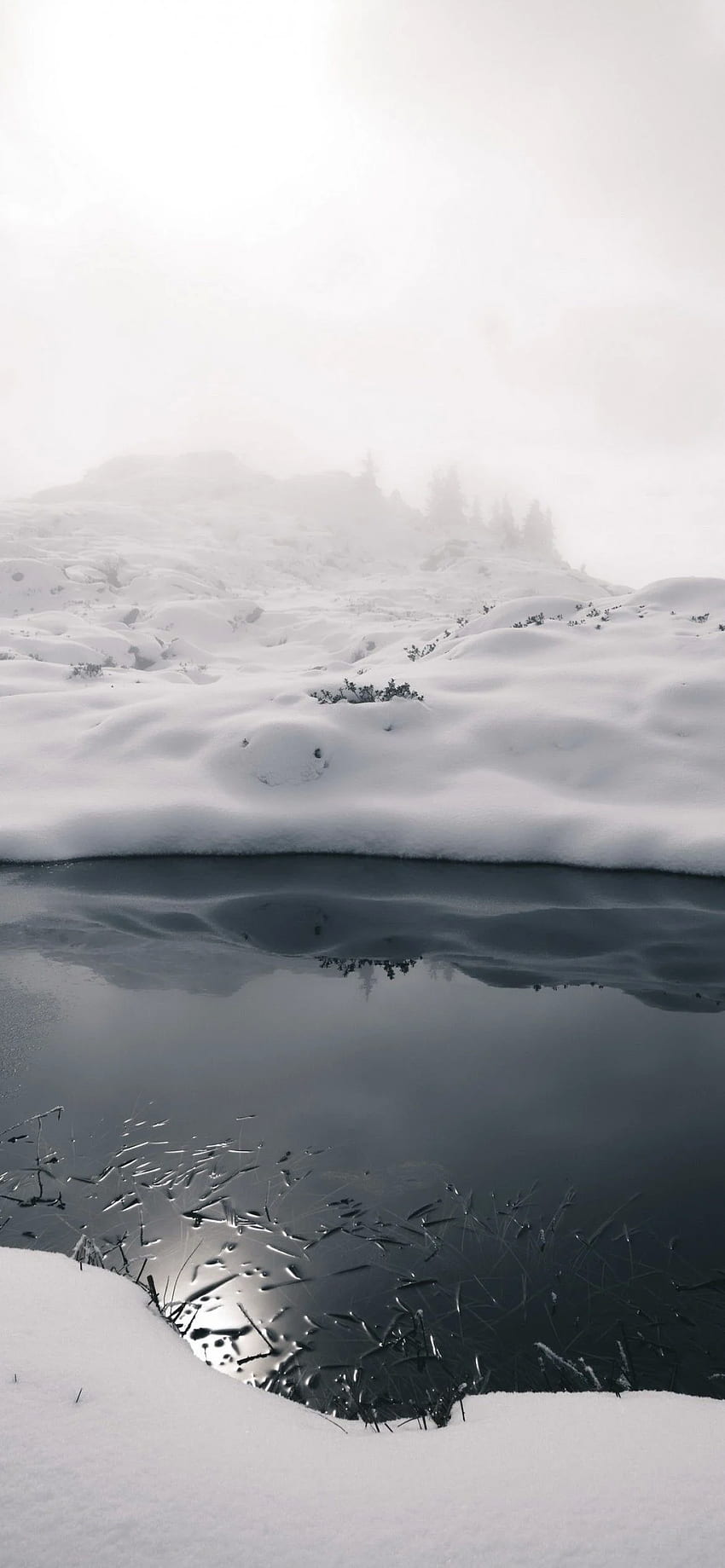 Campo brumoso, invierno, nieve, ártico para iPhone 12 Pro, 1170x2532 fondo de pantalla del teléfono