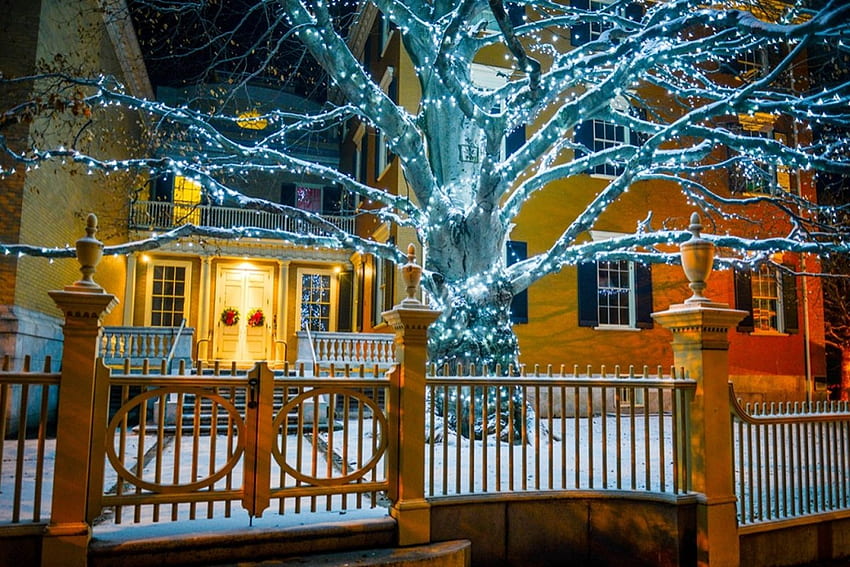 ポートランド、メイン州、冬、光、雪、家、フェンス、木々 高画質の壁紙