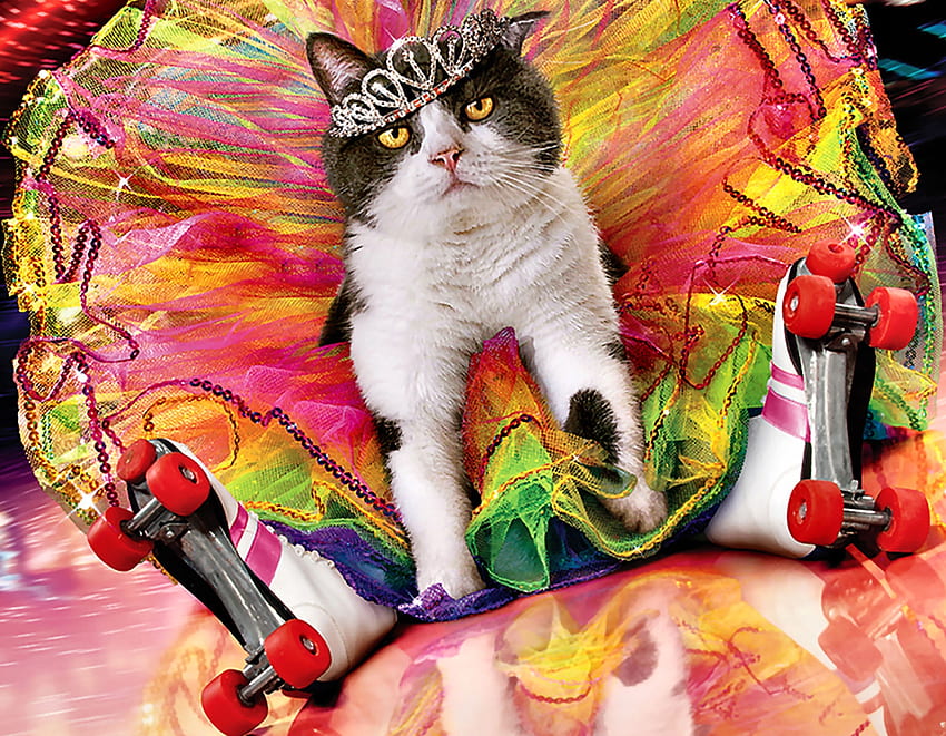 The Dancing Queen - Cat FC、動物、ダンス、アート、猫、猫、美しい、イラスト、アートワーク、ワイド スクリーン、絵画、ペット 高画質の壁紙