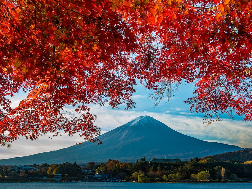 Fuji Mount, Trees, Red Leaves, Autumn, Japan IPhone 8 7 6, Japanese ...