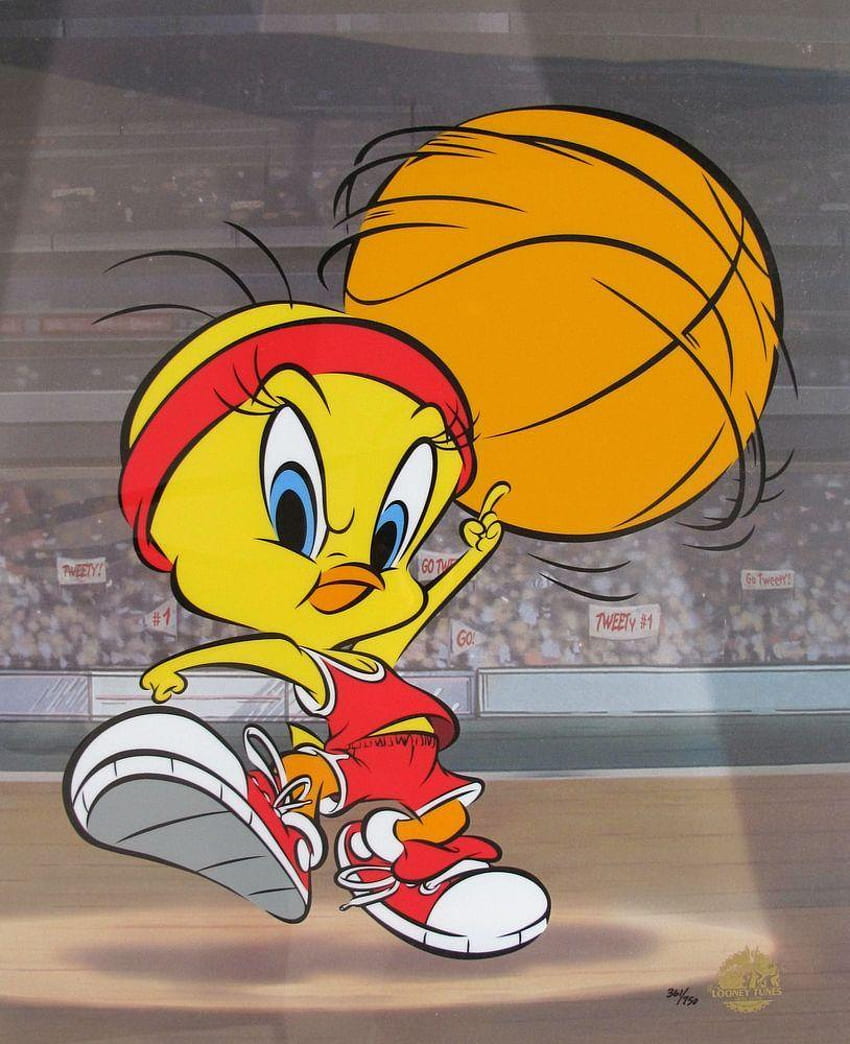 Looney Tunes Lock Screen for Android, Looney Tunes Basketball HD phone wallpaper