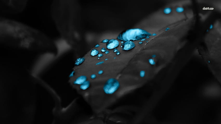 Сини водни капки върху тъмен лист - цифрово изкуство HD тапет
