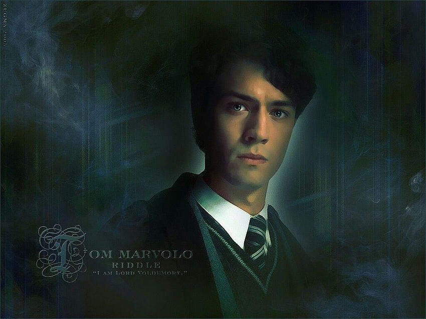 What to you think? Is Tom Riddle Hot?. Harry Potter Amino HD wallpaper