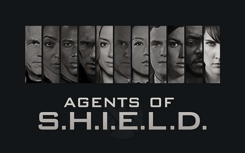 Agents Of Shield Wallpapers  Top Free Agents Of Shield  Backgrounds  WallpaperAccess