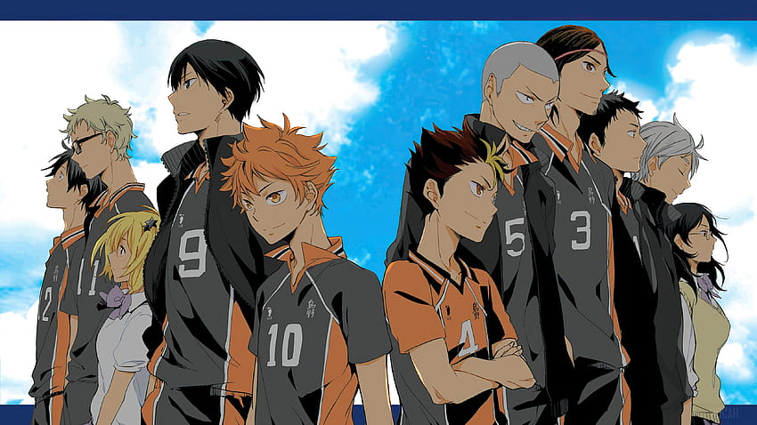 Haikyuu, Anime, Karasuno, Volleyball, Team, Haikyuu Characters HD wallpaper