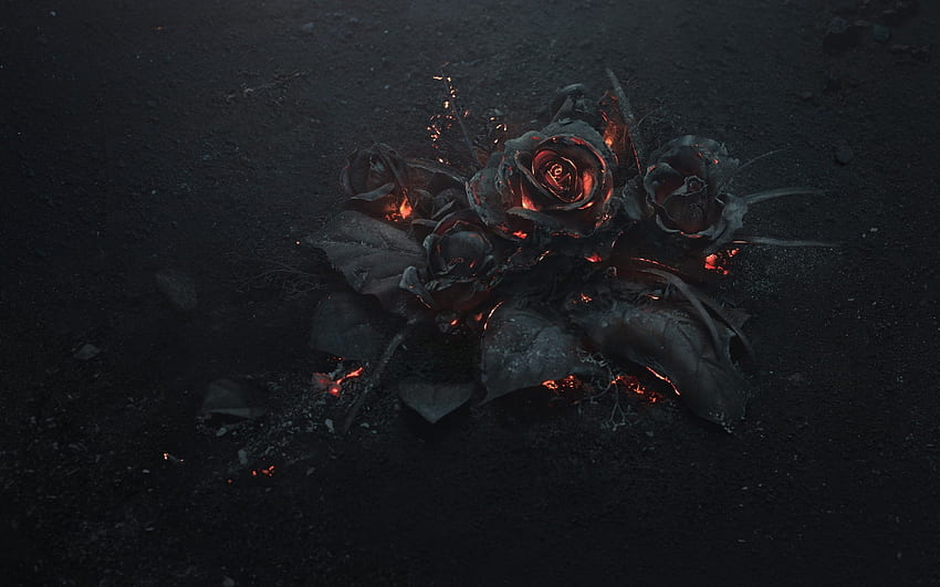 Rose Ashes, Fire, Black, Dark Theme วอลล์เปเปอร์ HD