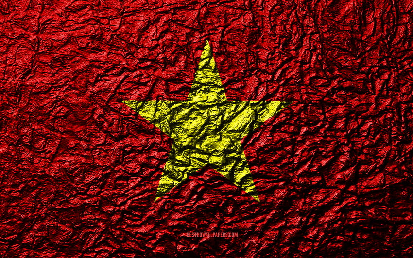 Flag of Vietnam, , stone texture HD wallpaper