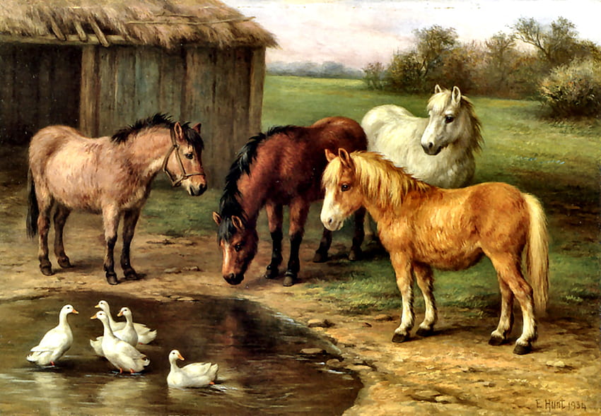 Ponis junto a un estanque - Caballos F, animal, caballo, pájaro, arte, hermoso, ilustración, ponis, aviar, obra de arte, patos, ancha, pintura, equino fondo de pantalla
