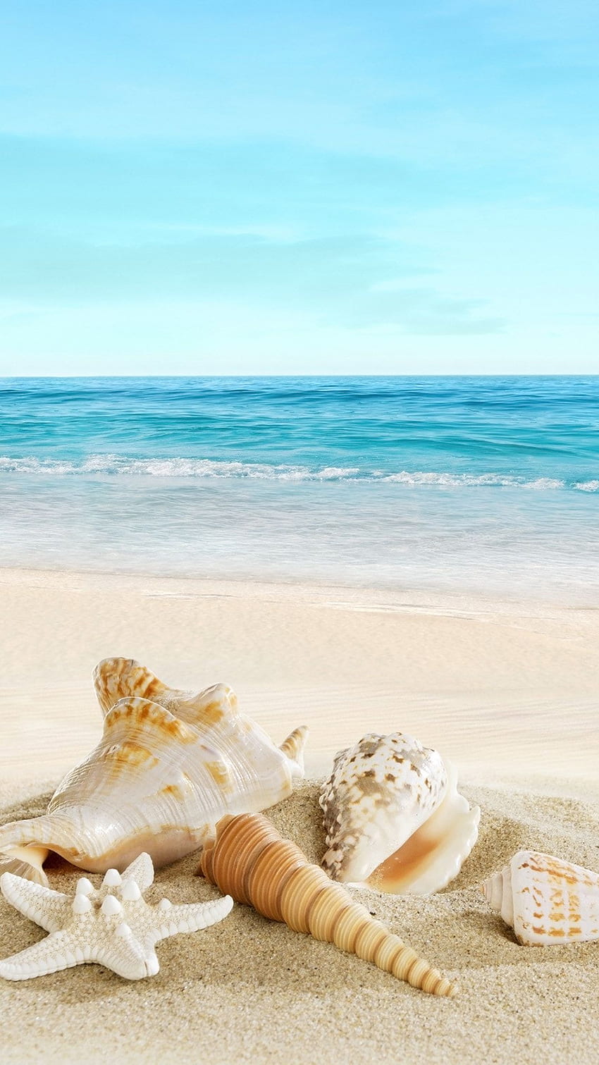 Conchas marinas en la playa, Blue Beach fondo de pantalla del teléfono