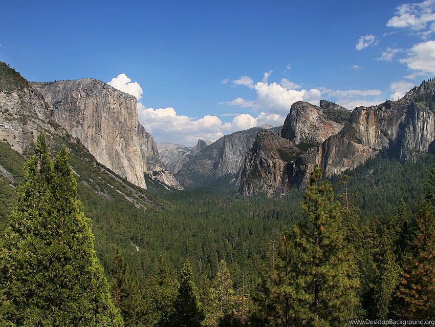 Sequoia National Park In Quality Inx HD Wallpaper | Pxfuel