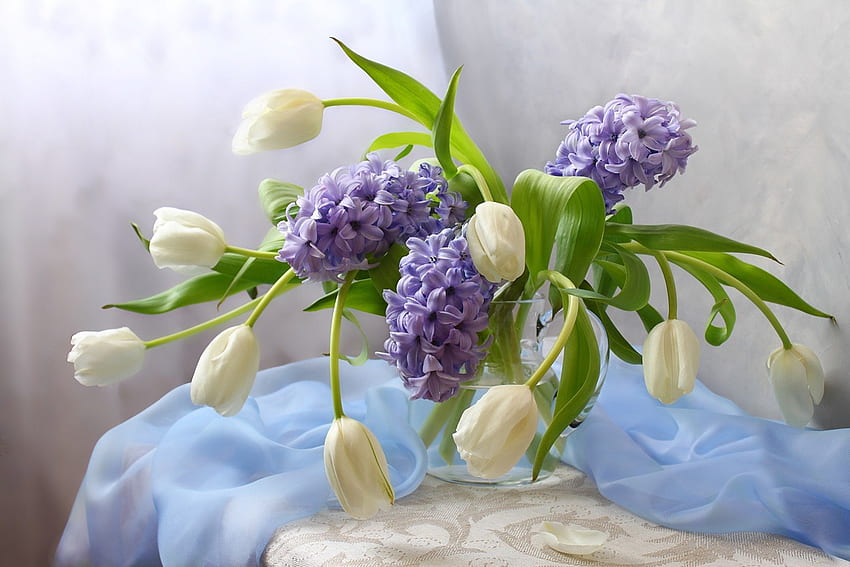 Stillleben, Tulpe, weiße Tulpen, Vase, Natur, Blumen, Tulpen, Hyazinthe HD-Hintergrundbild