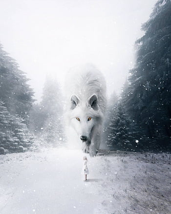 Animals, Wolfs, Mountains, Snow, Predators, Fog, Wolf HD wallpaper | Pxfuel