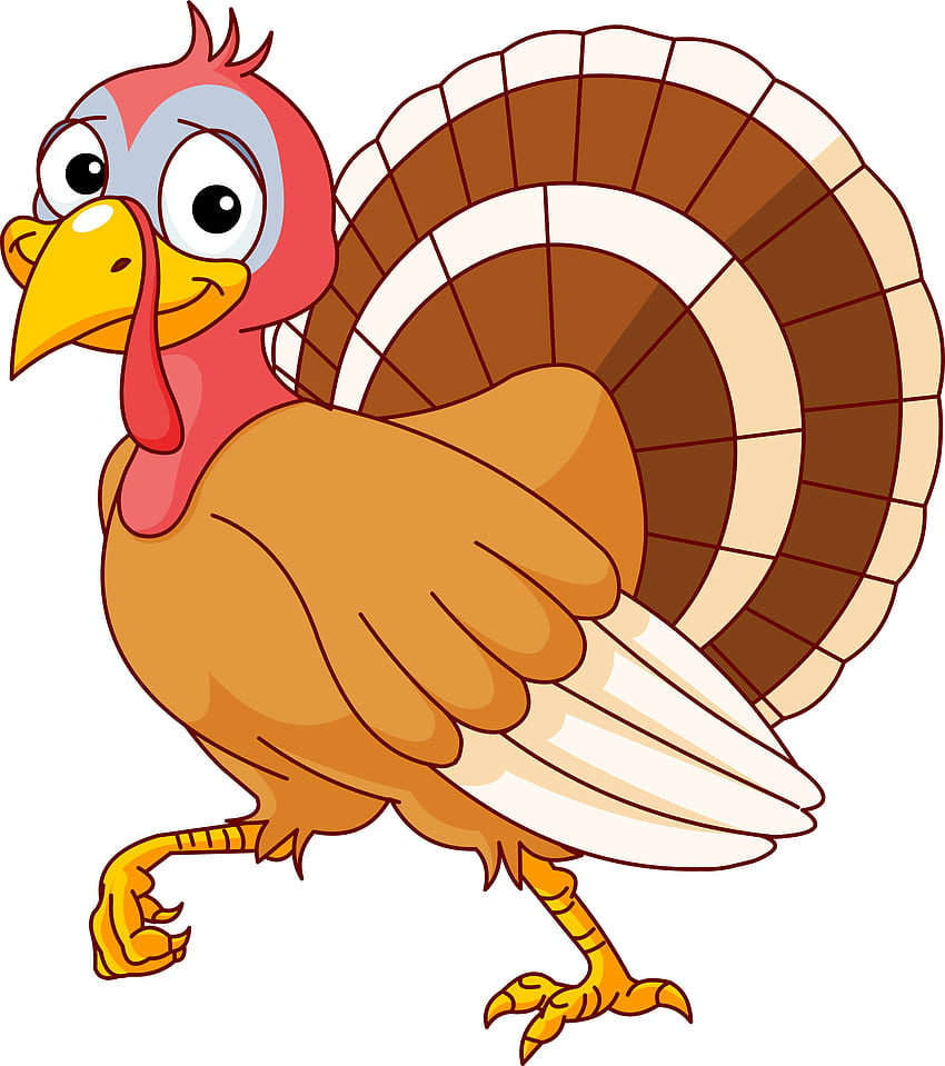 Thanksgiving Turkey Background, Thanksgiving Cartoon Turkey HD phone ...