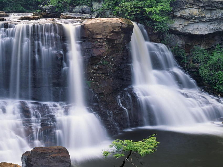 Blackwater-Falls-State-Park-West-Virginia., водопади, водопади, природа, вода, красота, скала HD тапет