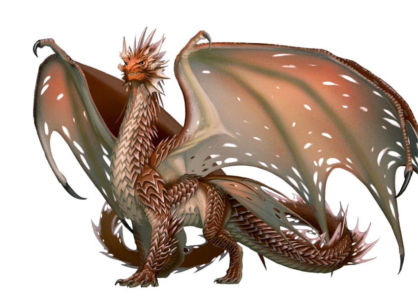 Ancient Copper Dragon - Pathfinder PFRPG DND D&D 3.5 5E 5th ed d20 фентъзи. Меден дракон, произведения на изкуството на дракон, изкуство на дракон HD тапет