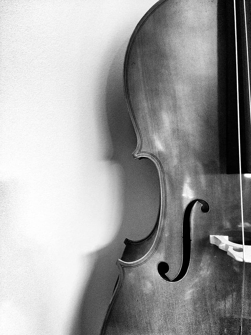 instrumentos musicais, sinfonia, orquestra, cordas, violoncelo, dentro de casa, Black Violin Papel de parede de celular HD