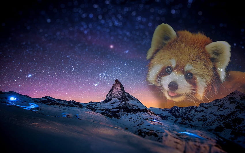 This Awesome Done By U Troguenda. I Requested And He Delivered : Redpandas, Space Panda HD wallpaper