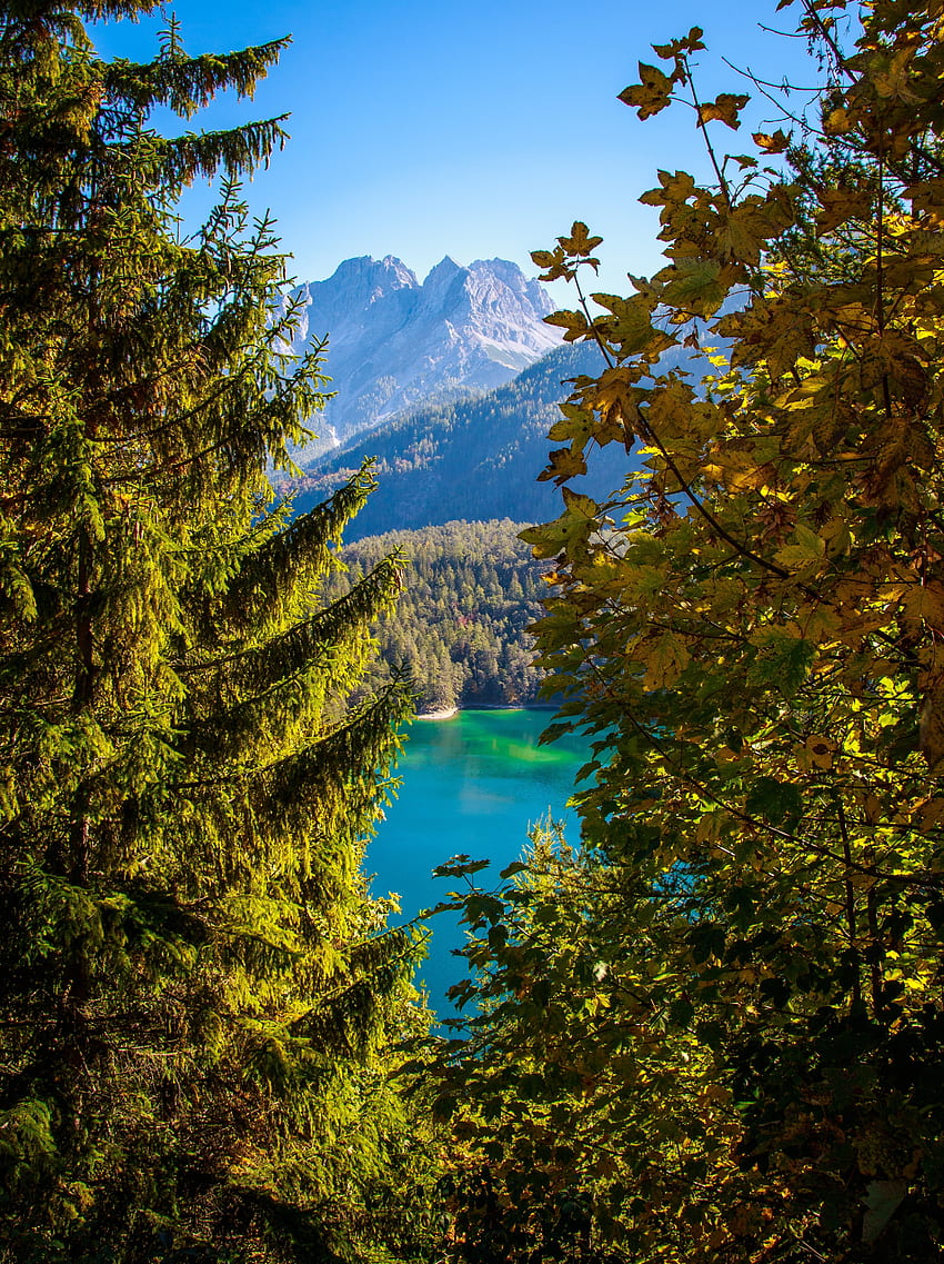 Austria, Natura, Góry, Jezioro, Gałęzie, Tyrol Tapeta na telefon HD