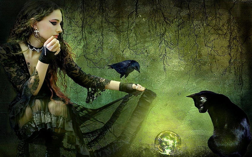 Witch, black, pisici, bird, green, girl, cat, raven, halloween, fantasy HD wallpaper