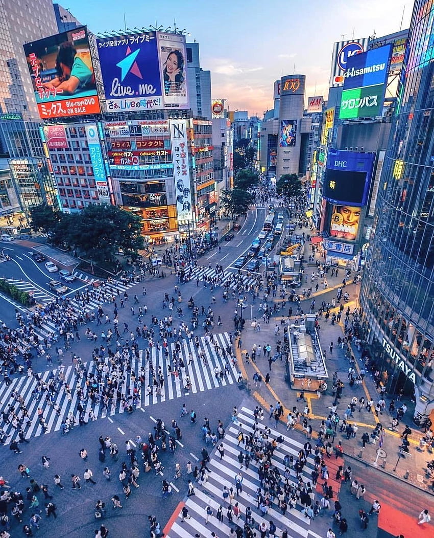 Suivre -> Soirée à Shibuya Crossing Fond d'écran de téléphone HD