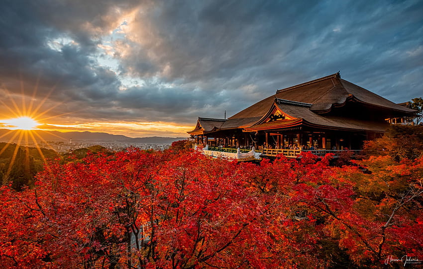 Japan, Japan, Kyoto, Kiyomizu Dera Temple, Autumn Trees For , Section пейзажи HD wallpaper