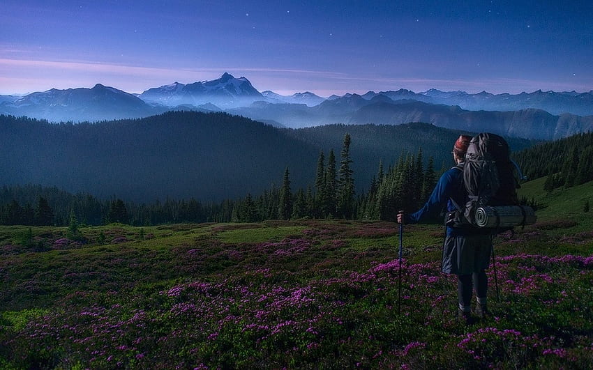landscape, Nature, Mist, Mountain, Forest, Wildflowers, Hiking, Backpacks, Sunrise, Washington State, Snowy Peak, Spring, Stars / and Mobile Background HD wallpaper