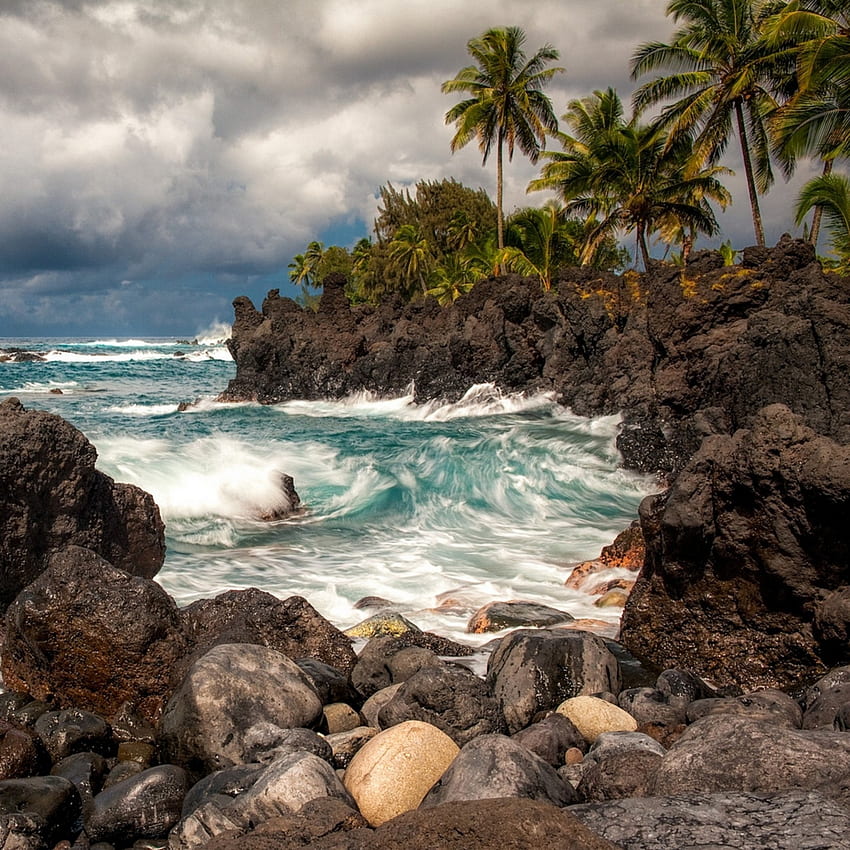 Preview maui, hawaii, pacific ocean, cliffs, rocks, surf, palm HD phone