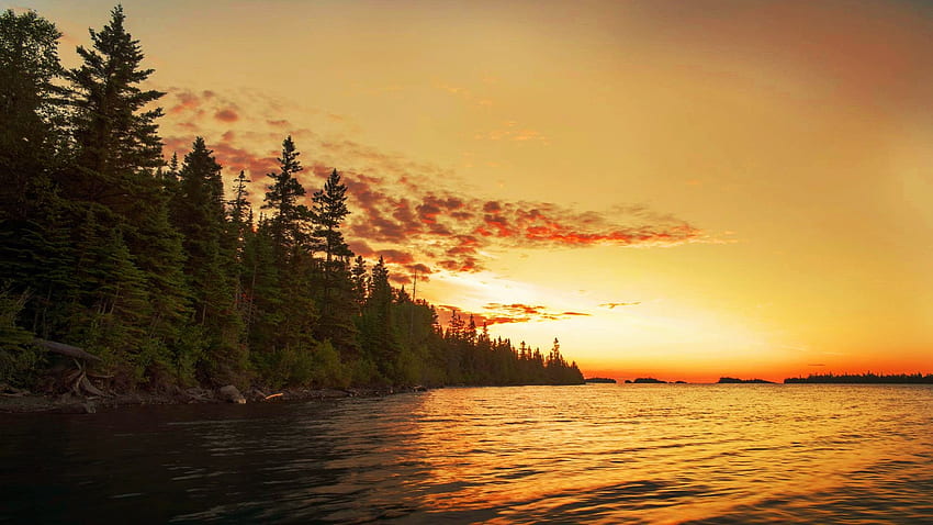 Cotton candy sunrise on Isle Royale, Michigan, coast, trees, colors, sky, usa, lake HD wallpaper