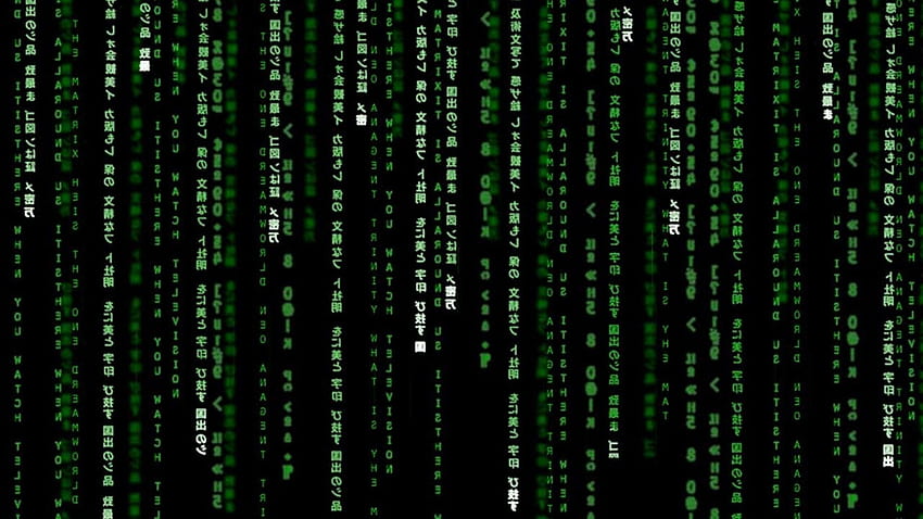 Matrix Code, Rainbow Binary Code HD wallpaper | Pxfuel