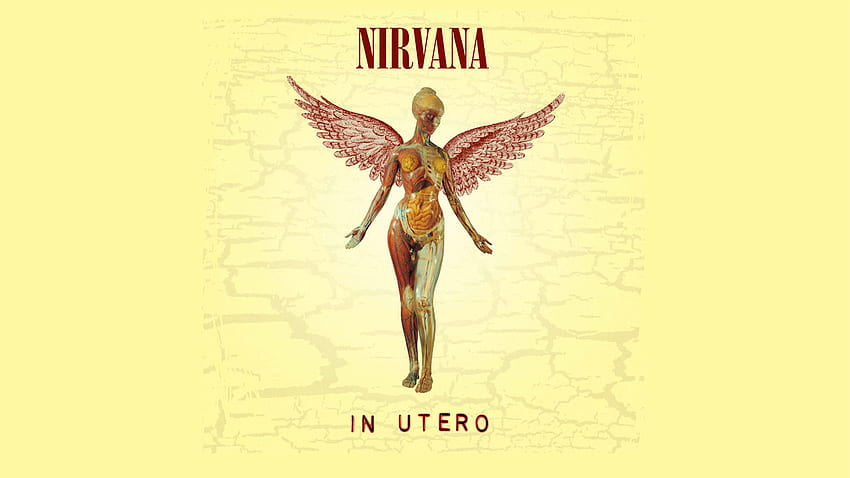Music - Nirvana Angel Album Cover Woman Anatomy HD wallpaper