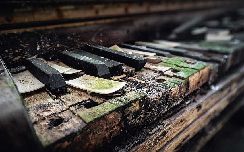 old piano keys, old piano, wooden piano keys HD wallpaper