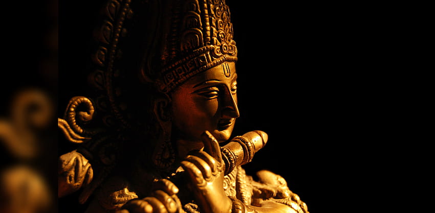 Ídolo de Krishna adornado com ornamentos no valor de crores em Gwalior de Madhya Pradesh, Estátua de Krishna papel de parede HD