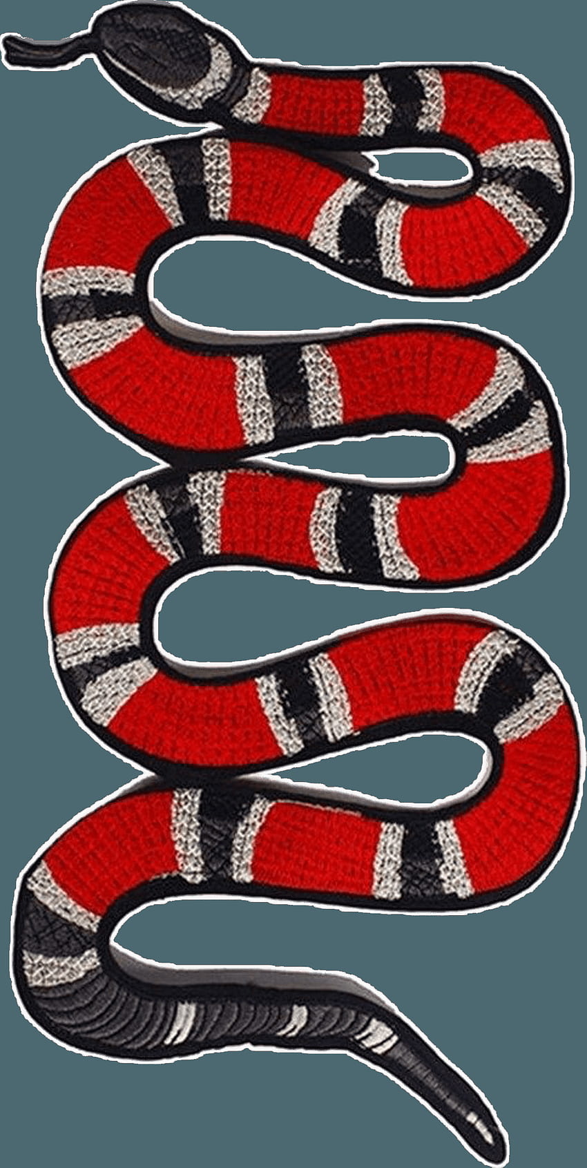 Gucci Snake Print , Gucci Snake Logo HD phone wallpaper | Pxfuel
