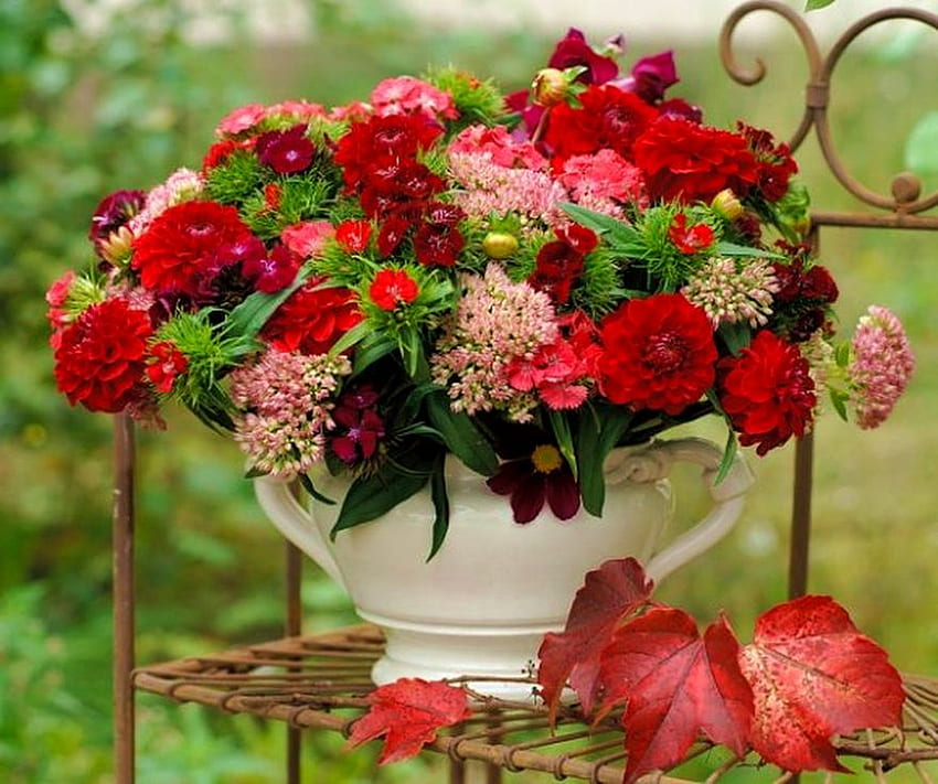 꽃병에 꽃, fance, 화려한, 녹색, 빨간색, 꽃병, 자연, 꽃, 잔디 HD 월페이퍼
