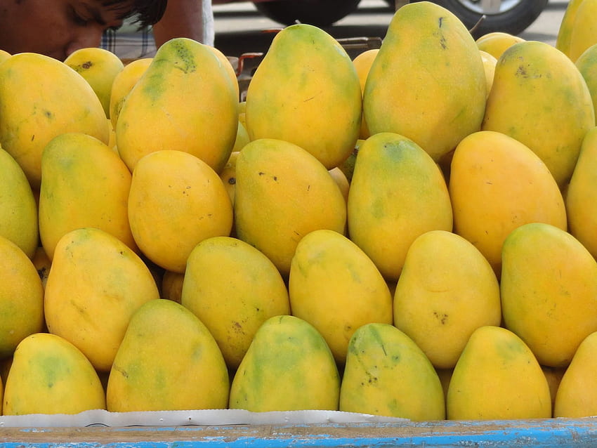 owoców mango, słodkie mango Tapeta HD