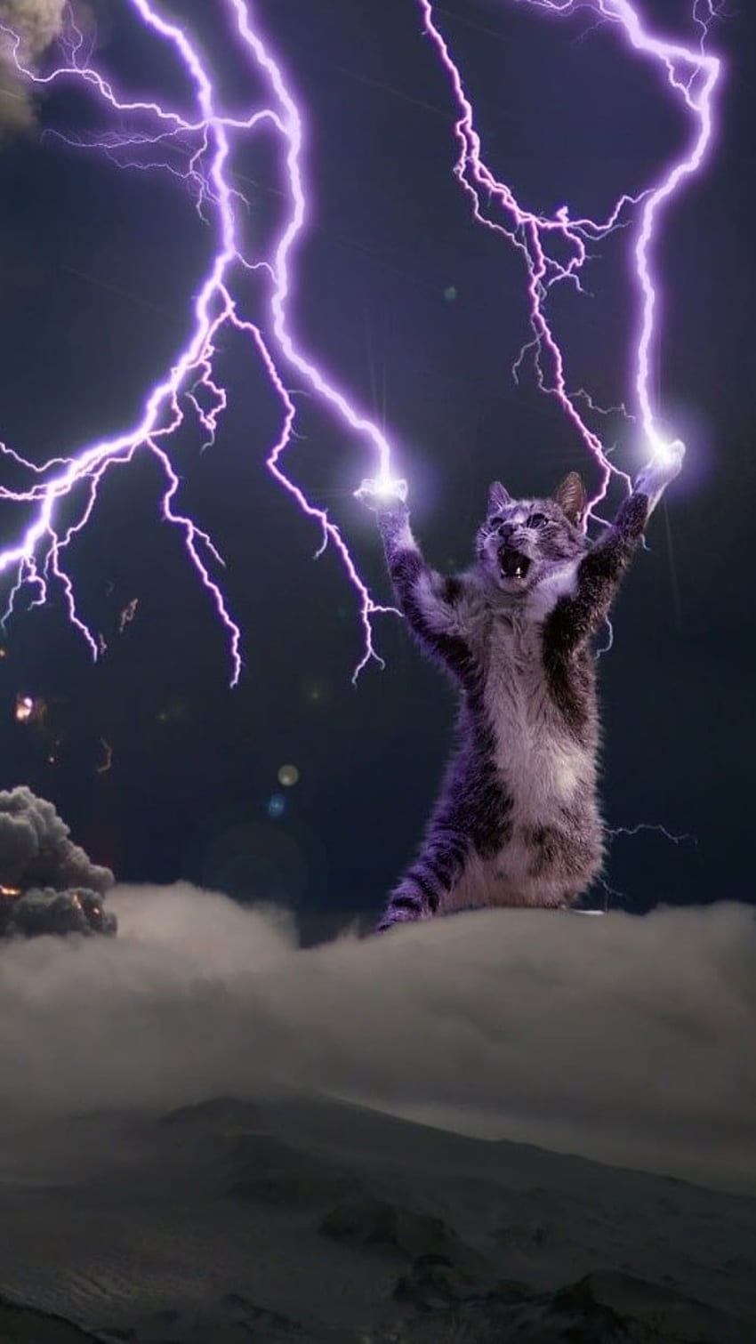 Lightning Cat, Godcat HD phone wallpaper