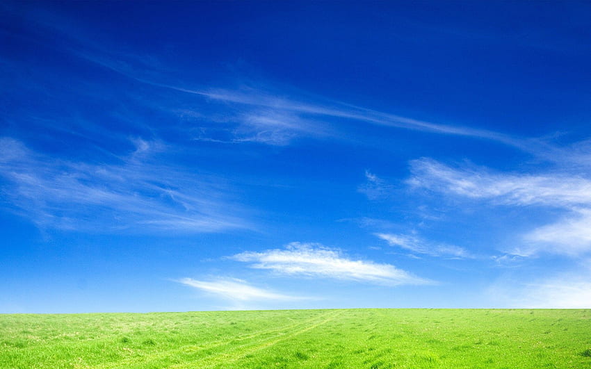 Blue Sky And Green Grass - Sky And Ground Background - - HD wallpaper
