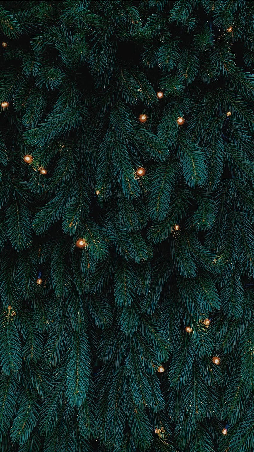 grüner Weihnachtsbaum mit Lichtern iPhone SE, dunkelgrüne Weihnachten HD-Handy-Hintergrundbild