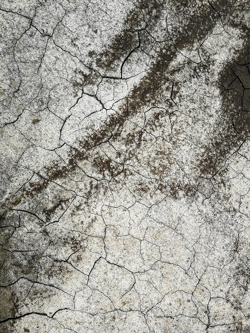 Texture, Textures, Land, Earth, Cracks, Crack, Drought HD phone wallpaper