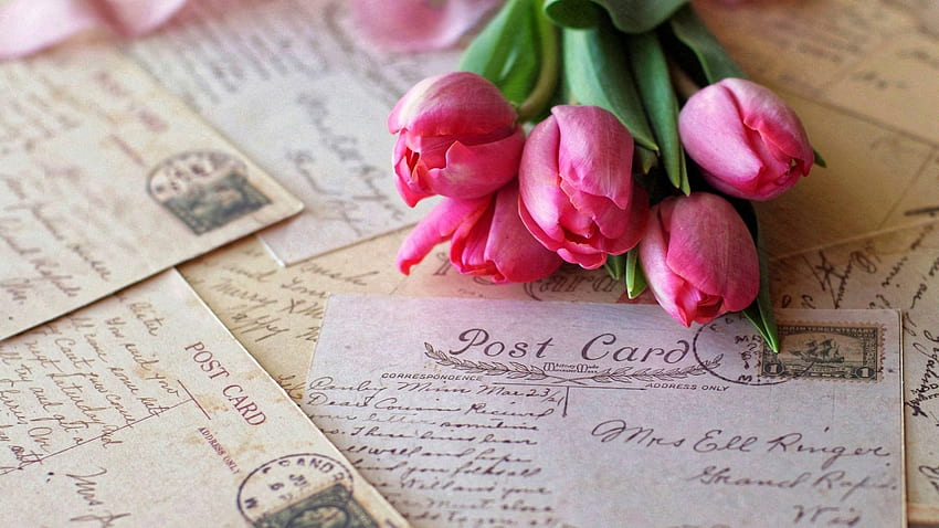 Postcard and Tulips, graphy, roses, wishes, tulips, gift, still life, writings, post card, birtay, flowers HD wallpaper