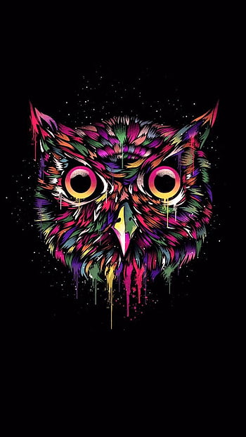 Free AI Image  Owl wallpapers that are free for your iphone and ipad
