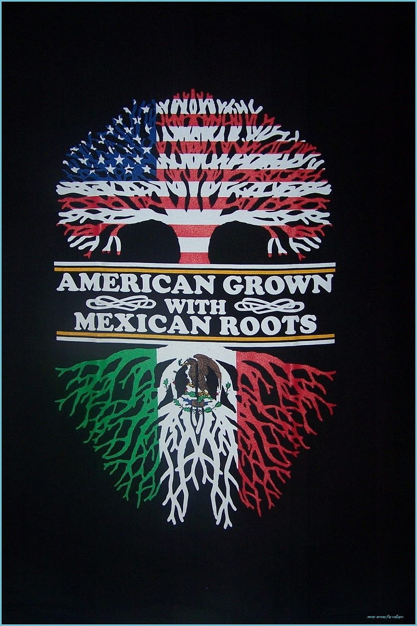 mexican american flag HD phone wallpaper