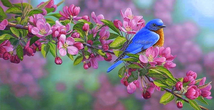 Garden Sapphire, birds, garden, paintings, spring, panoramic view, love four seasons, pink, animals, bluebird, nature, flowers HD wallpaper