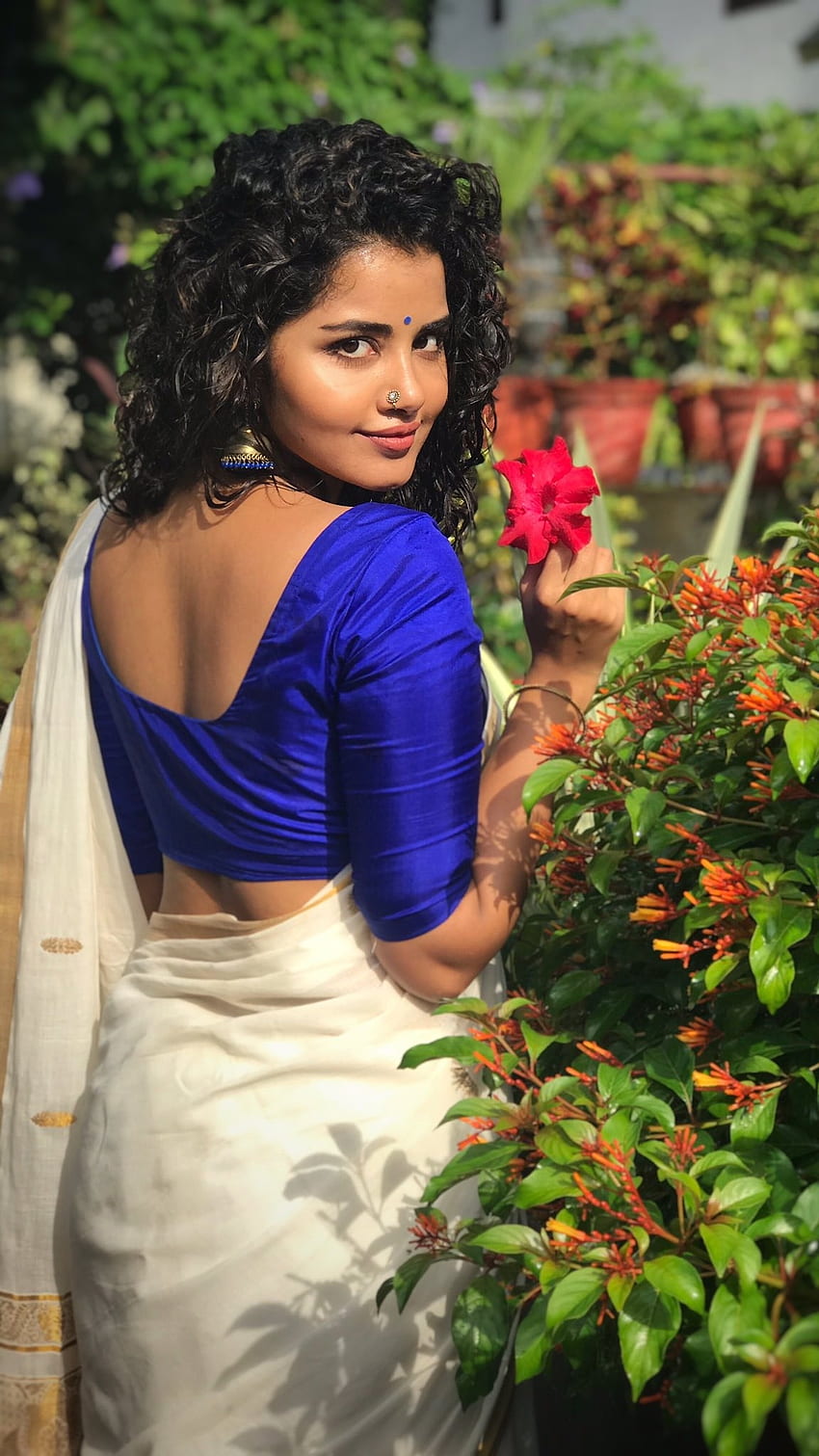 Anupama Parameswaran, Tollywood, Actress HD phone wallpaper